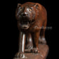 Lioness  - Rose wood