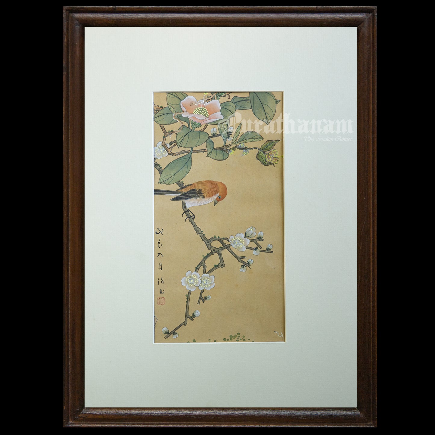 Brown bird and peach blossoms - Japanese art (shui-mo) -  Bird Art / Avian Art