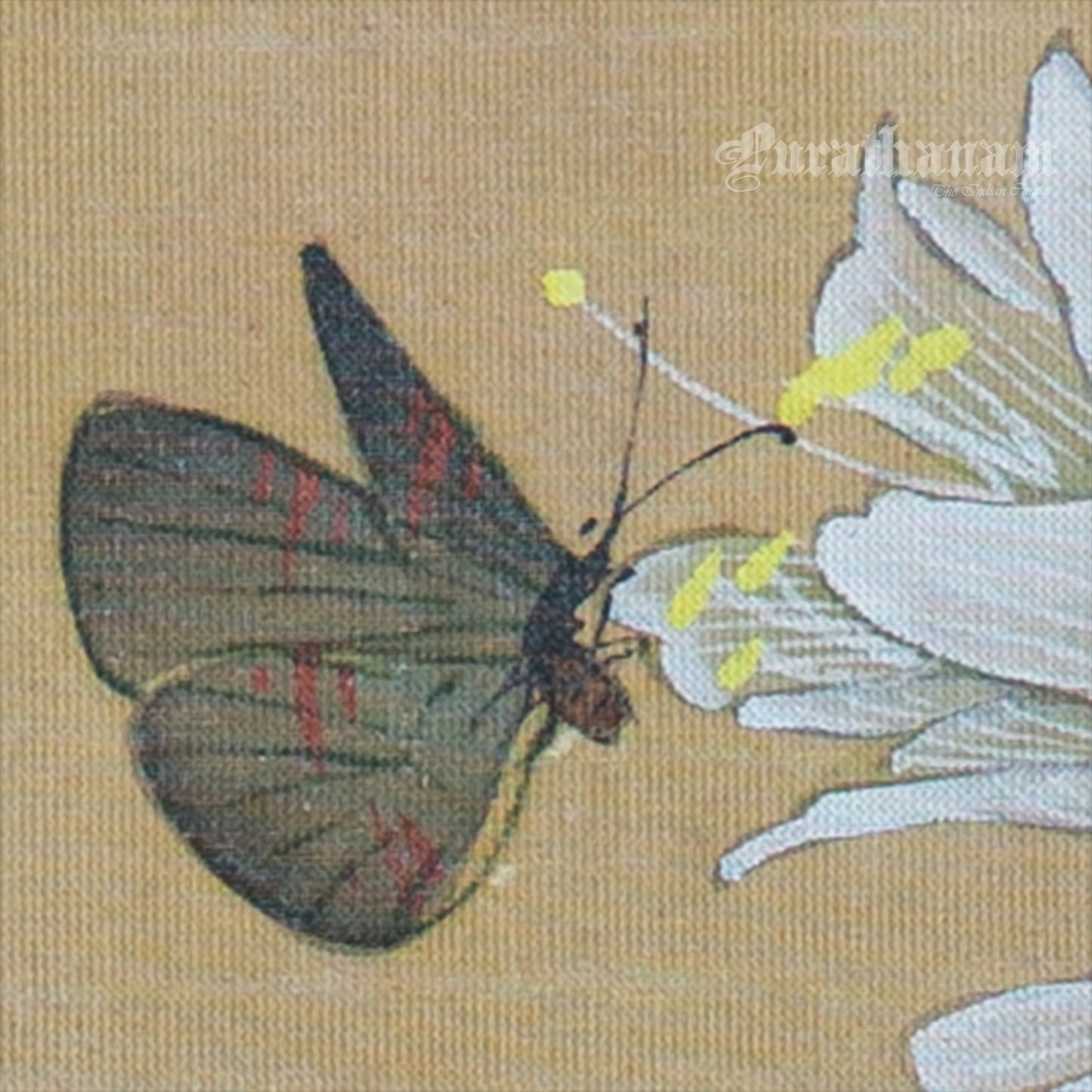 Butterfly - Japanese  art (shui-mo)