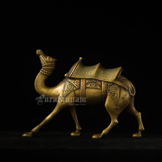 Camel Brass
