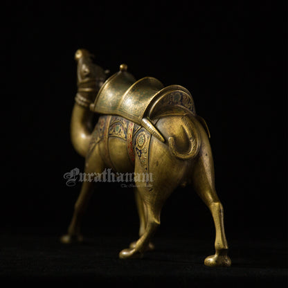 Camel Brass