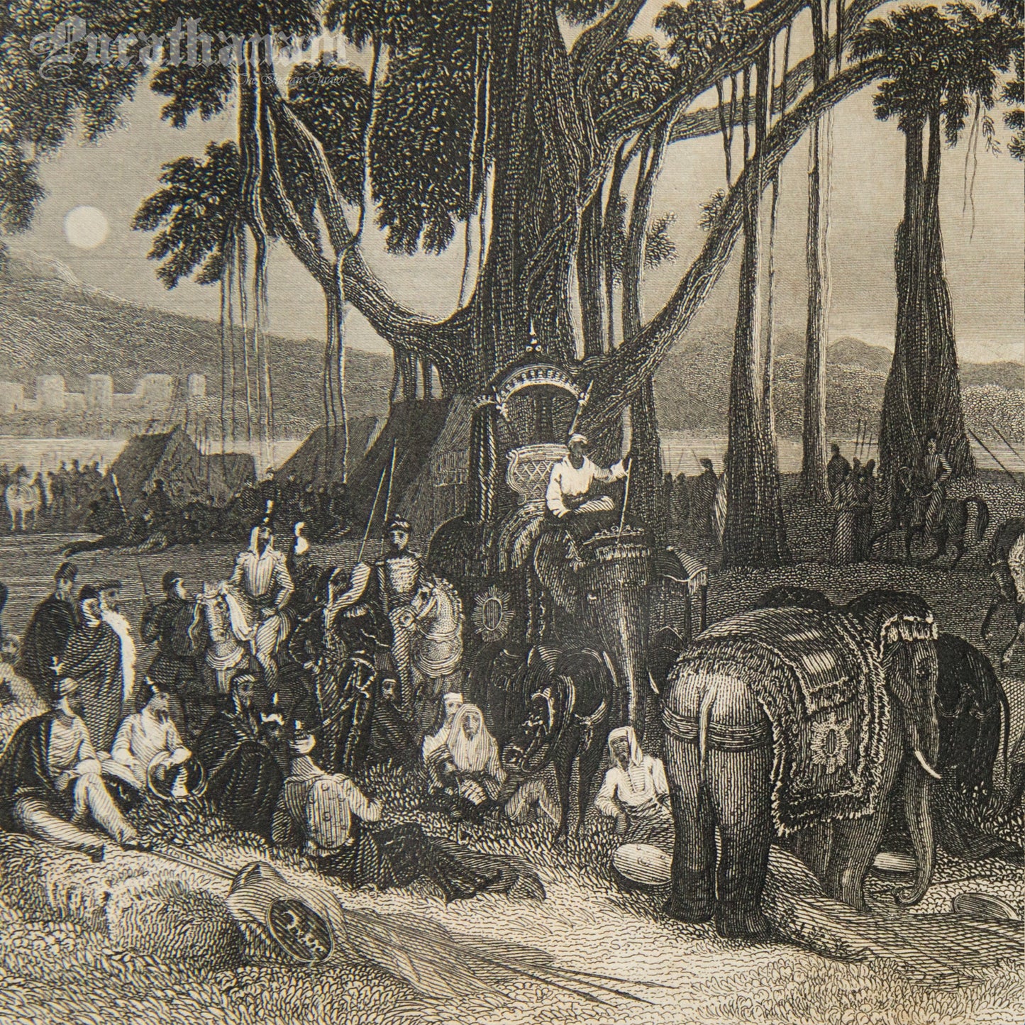 The arrival of the contingent force of the Sikh irregular cavalry