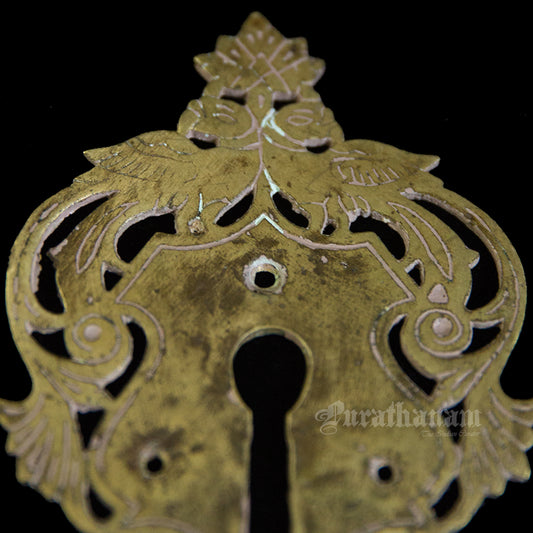 Brass Parrot Door Key Hole