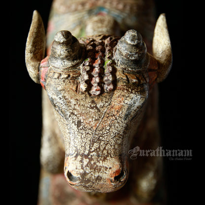 Nandhi
