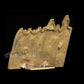 Gwalior Fort - Brass