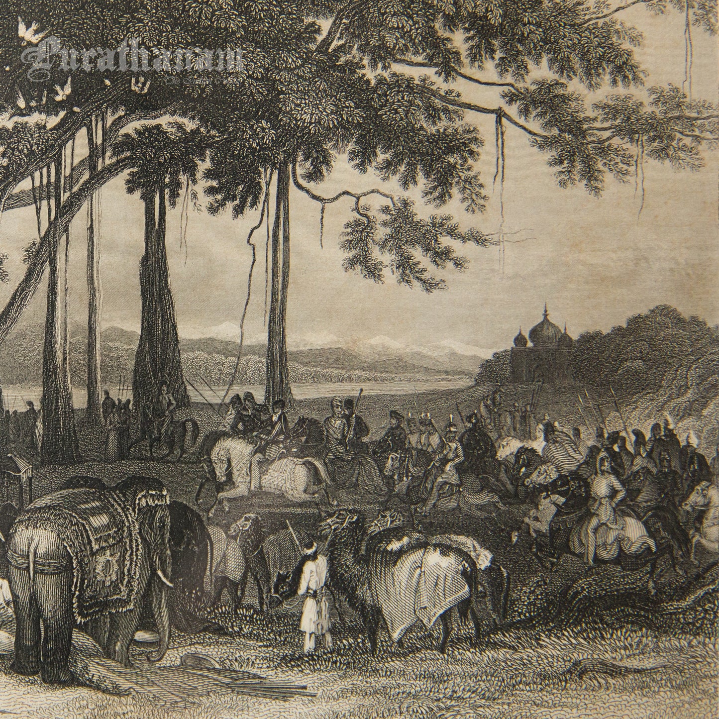 The arrival of the contingent force of the Sikh irregular cavalry