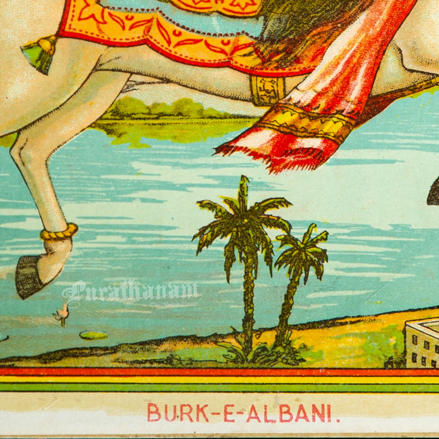 Burk-e-Albani  -  Lithograph Print