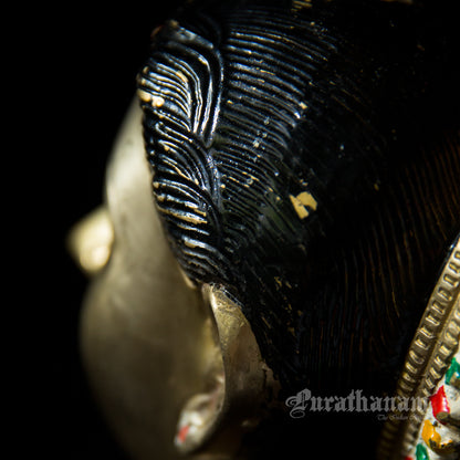 Gauri Head 1