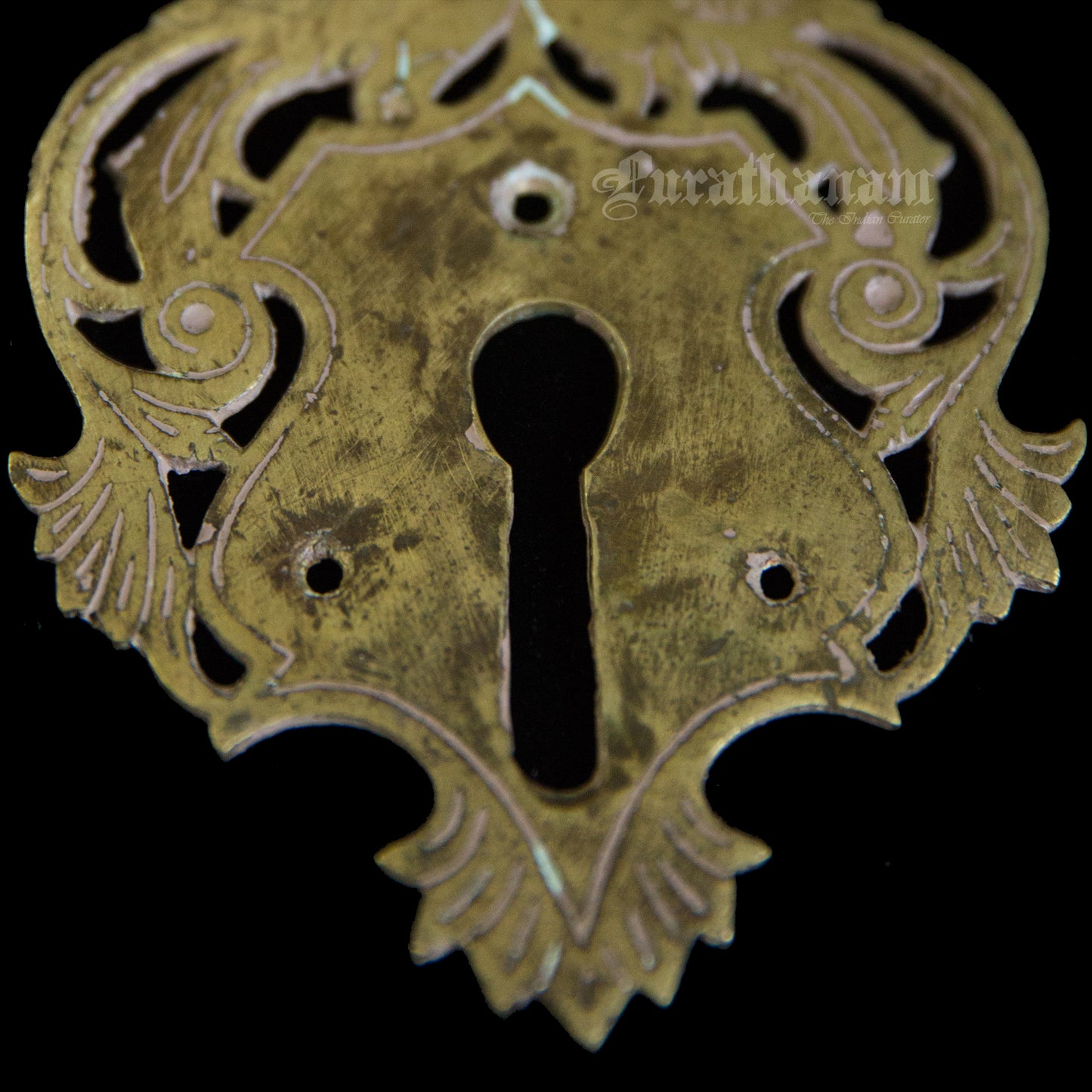 Brass Parrot Door Key Hole