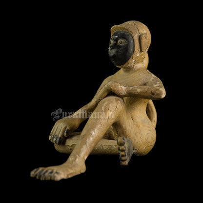 Seated female White Monkey