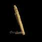 Gwalior Fort - Brass