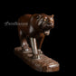 Lioness  - Rose wood