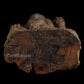 Dwarapalak Wooden Sculpture