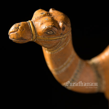 Camel Stand