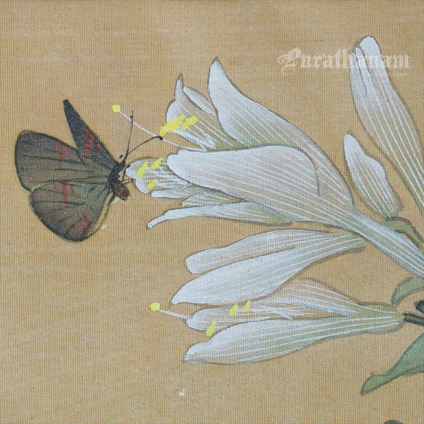 Butterfly - Japanese  art (shui-mo)