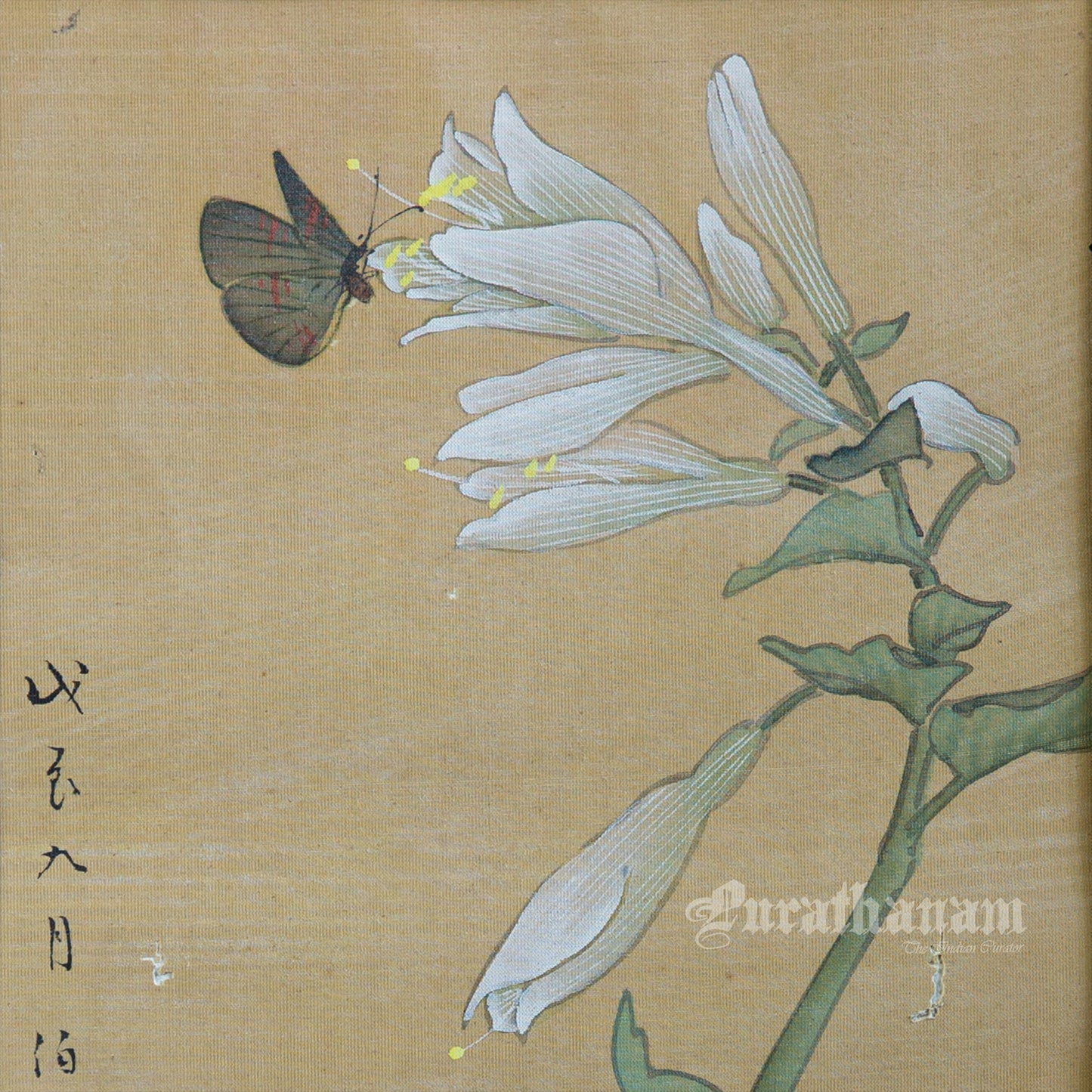 Butterfly - Japanese  art (shui-mo)