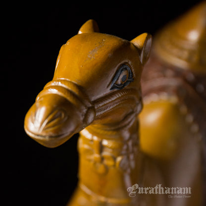 Seated Camel
