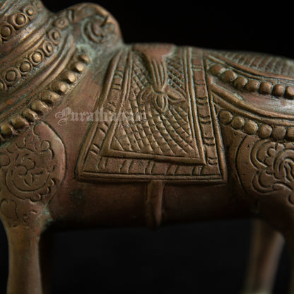 Nandhi - Brass