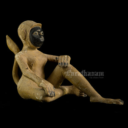 Seated female White Monkey