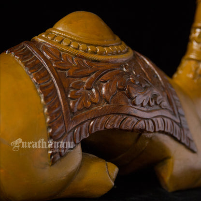 Seated Camel