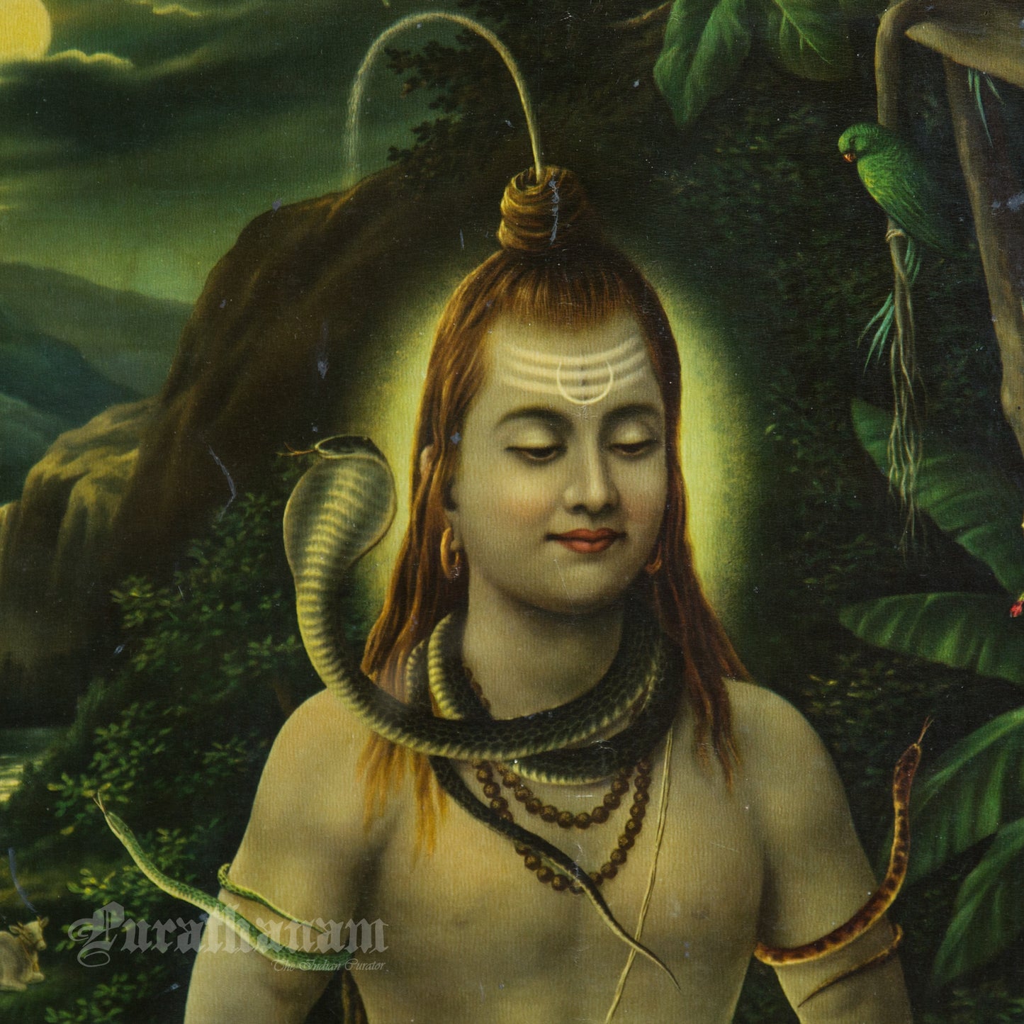 Kailash Pati Shankar by Narattam Narayan Nathdwara