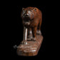 Lioness  - Rose wood