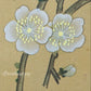 Brown bird and peach blossoms - Japanese art (shui-mo) -  Bird Art / Avian Art