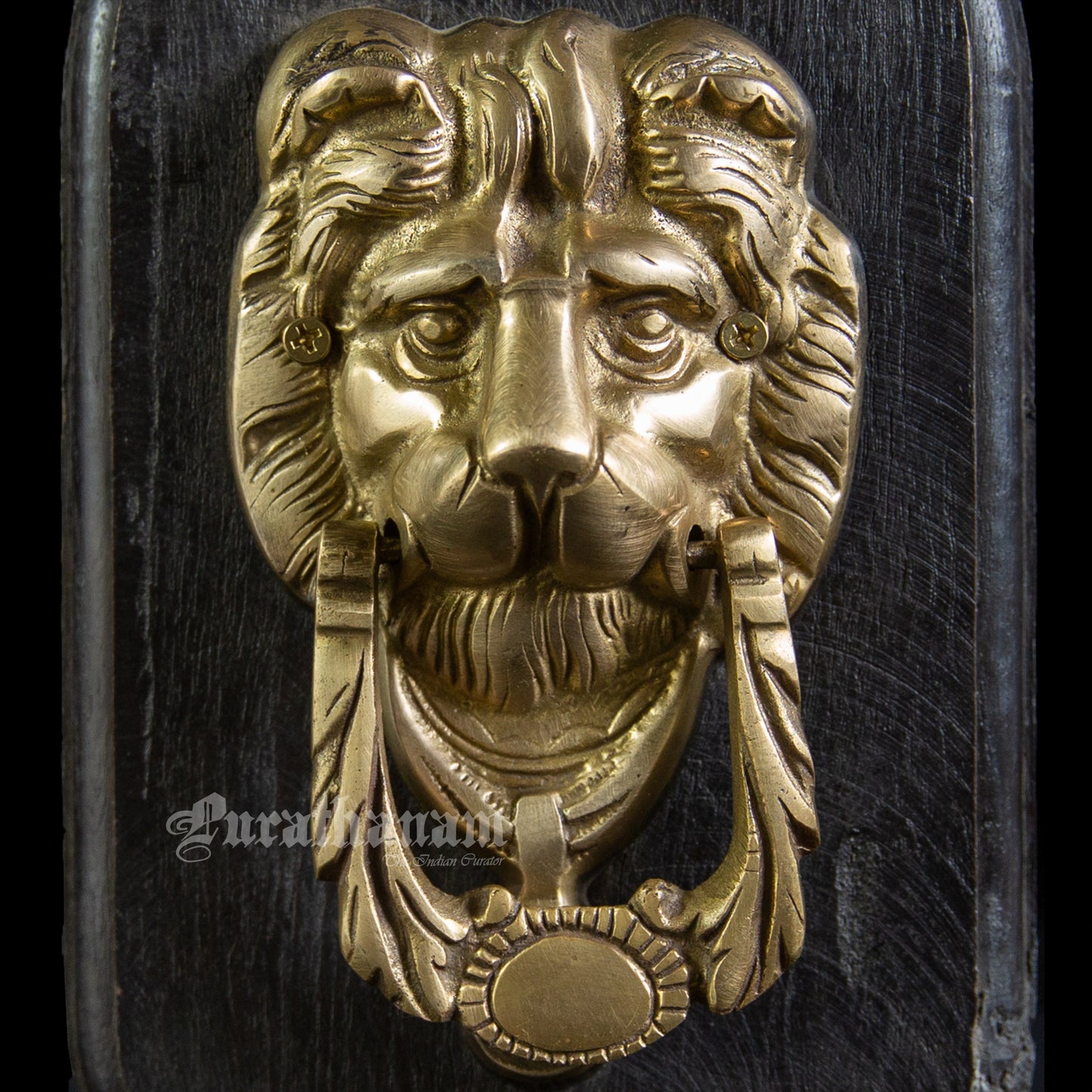 Lion Door Knocker plaque - Brass