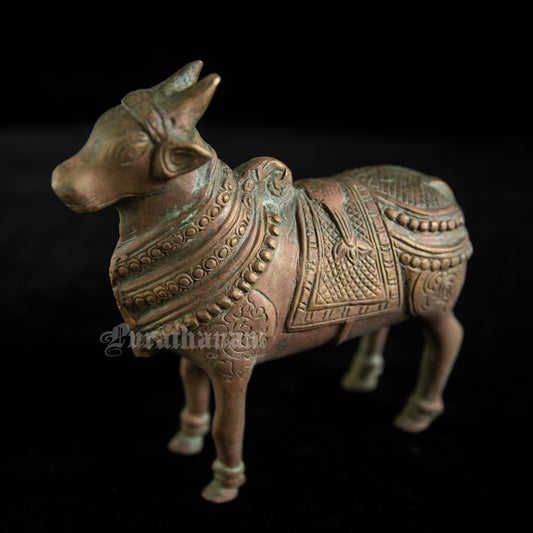 Nandhi - Brass