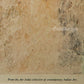 Varuna by Gautham Vaghela- Air-India collection  (Offset Print)