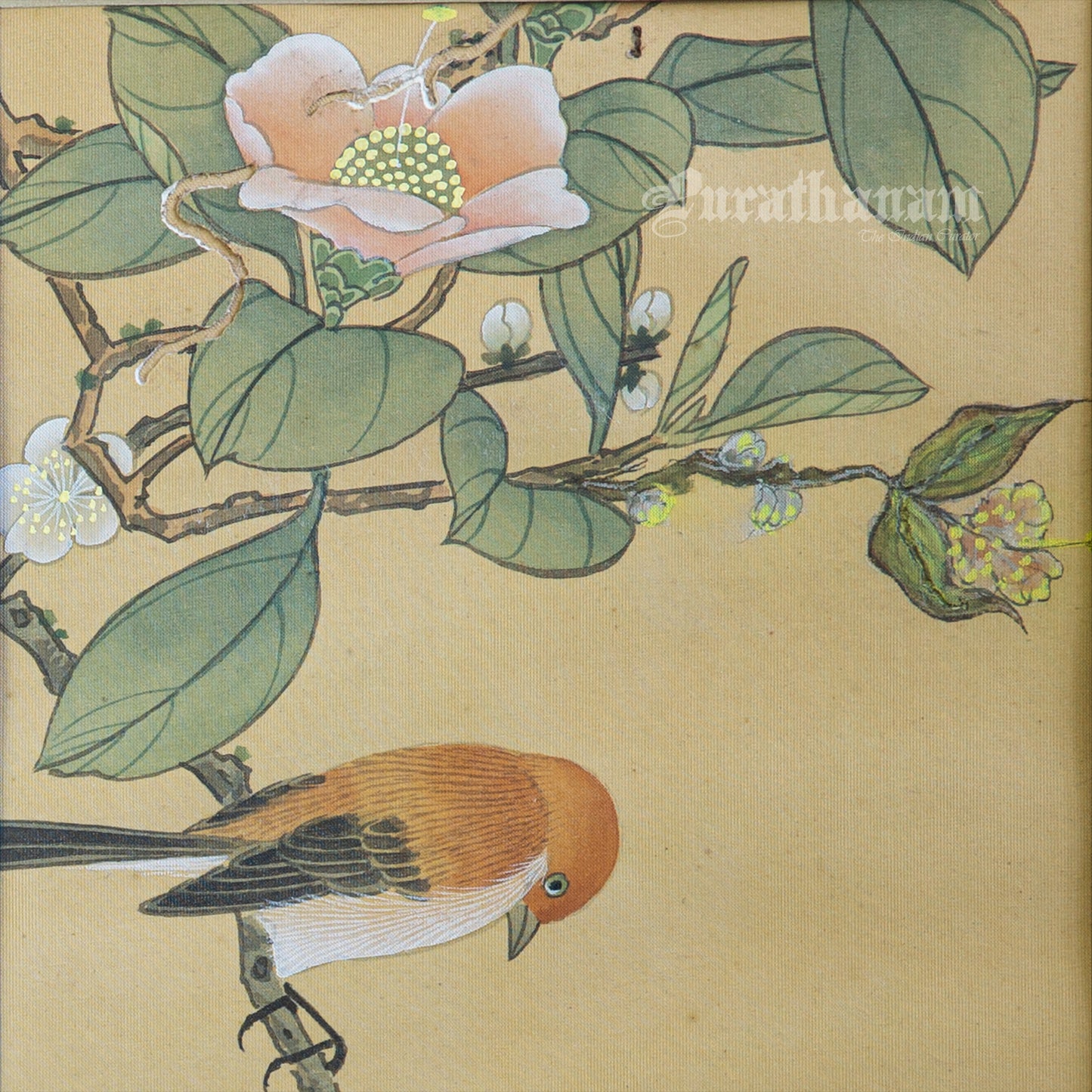 Brown bird and peach blossoms - Japanese art (shui-mo) -  Bird Art / Avian Art