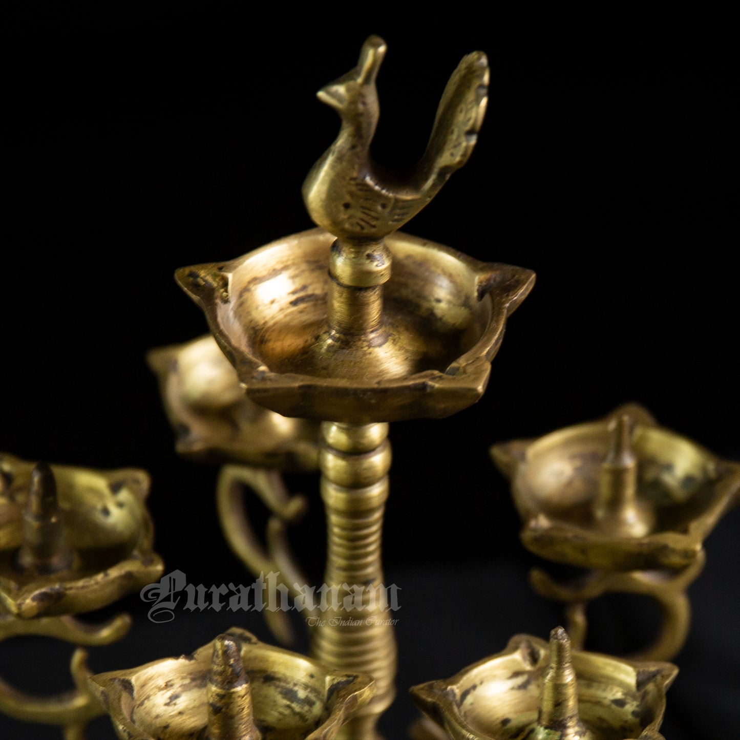 Peacock  oil lamp - Brass