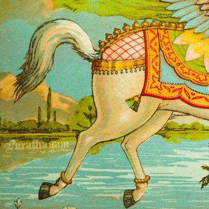 Burk-e-Albani  -  Lithograph Print