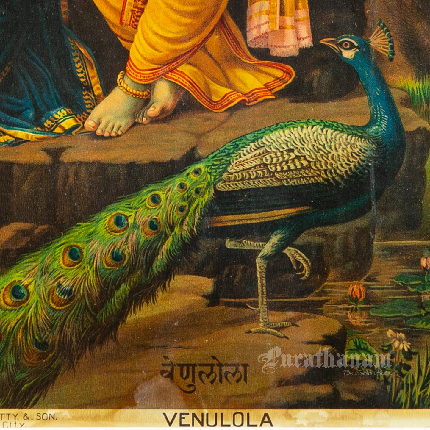 Venulola - (Oleograph Print)